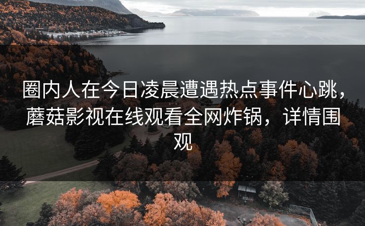 圈内人在今日凌晨遭遇热点事件心跳，蘑菇影视在线观看全网炸锅，详情围观