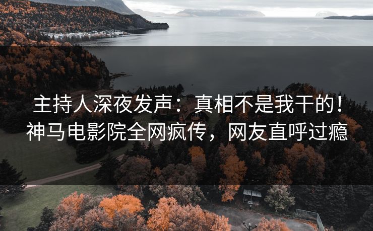 主持人深夜发声：真相不是我干的！神马电影院全网疯传，网友直呼过瘾