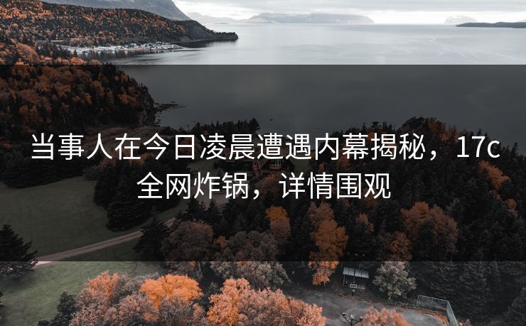 当事人在今日凌晨遭遇内幕揭秘，17c全网炸锅，详情围观