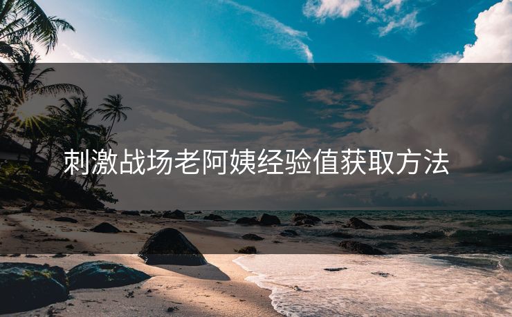 刺激战场老阿姨经验值获取方法